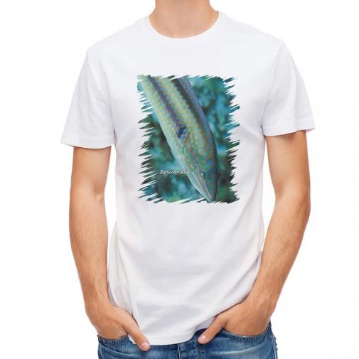 【Tシャツ】熱帯魚　No.8　キュウセンベラ