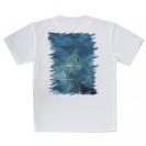 【Tシャツ】熱帯魚　No.9　クジメ