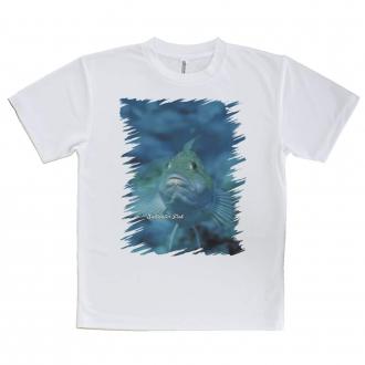 【Tシャツ】熱帯魚　No.9　クジメ
