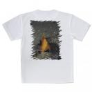 【Tシャツ】熱帯魚　No.10　ウイゴンベ