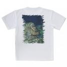 【Tシャツ】熱帯魚　No.11　メバル