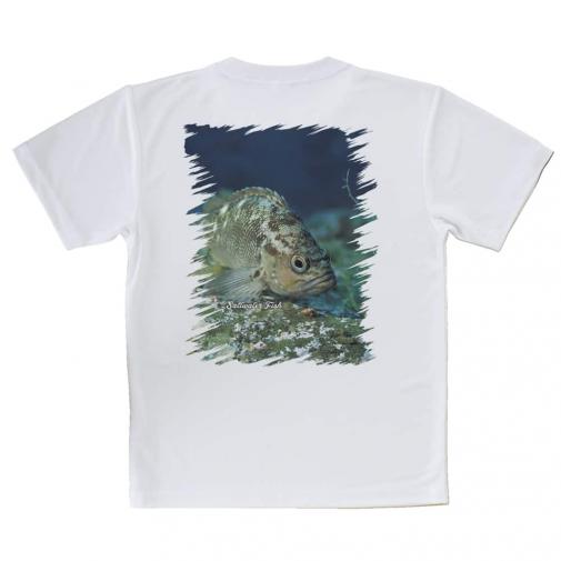 【Tシャツ】熱帯魚　No.11　メバル