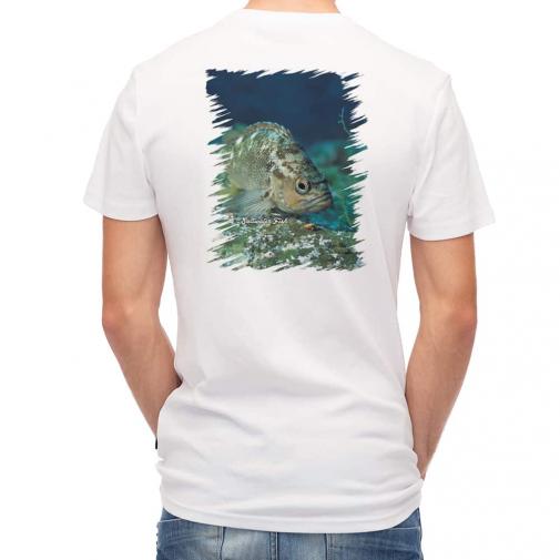 【Tシャツ】熱帯魚　No.11　メバル