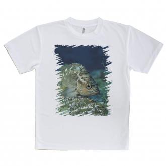 【Tシャツ】熱帯魚　No.11　メバル