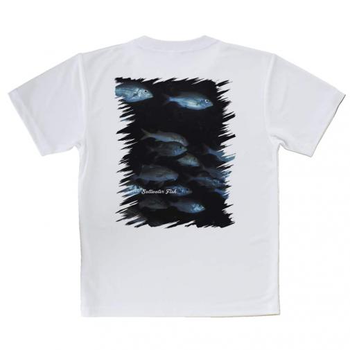【Tシャツ】熱帯魚　No.12　魚の群泳