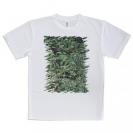 【Tシャツ】熱帯魚　No.16　デバスズメダイの群れ2