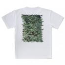 【Tシャツ】熱帯魚　No.16　デバスズメダイの群れ2