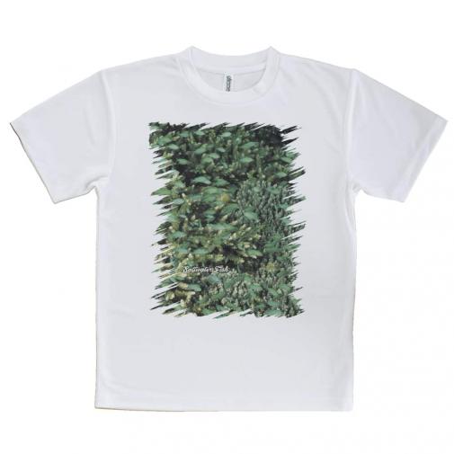 【Tシャツ】熱帯魚　No.16　デバスズメダイの群れ2