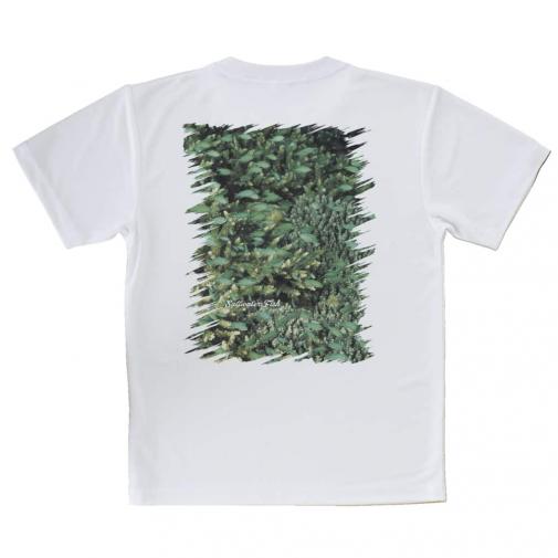 【Tシャツ】熱帯魚　No.16　デバスズメダイの群れ2