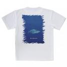 【Tシャツ】海の風景　シャーク(サメ)