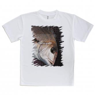 【Tシャツ】マダイ