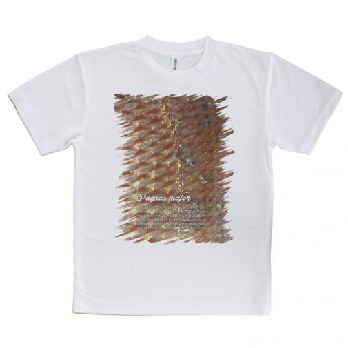 【Tシャツ】マダイのウロコ