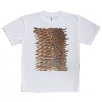 【Tシャツ】マダイのウロコ