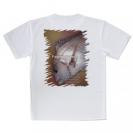 【Tシャツ】マダイのハーフトーン