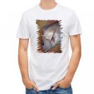 【Tシャツ】マダイのハーフトーン