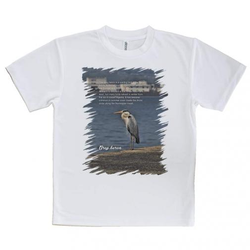 【Tシャツ】アオサギ