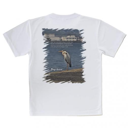 【Tシャツ】アオサギ