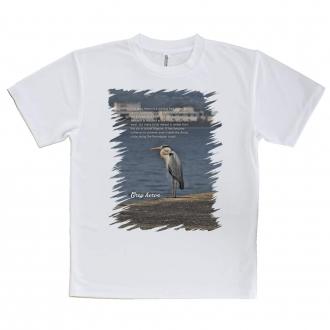 【Tシャツ】アオサギ