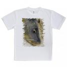 【Tシャツ】コイ(カープ)