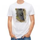 【Tシャツ】コイ(カープ)