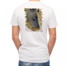 【Tシャツ】コイ(カープ)