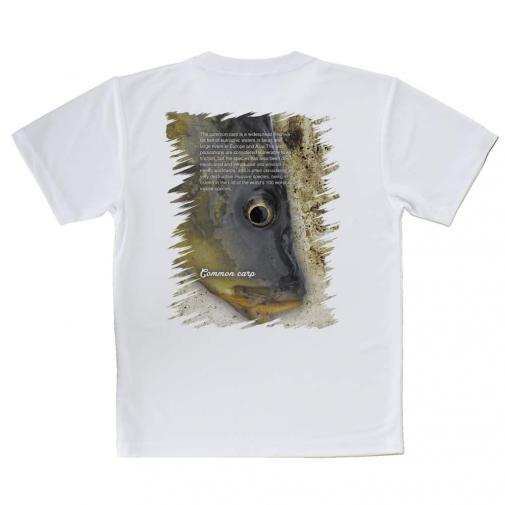 【Tシャツ】コイ(カープ)