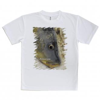 【Tシャツ】コイ(カープ)