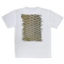 【Tシャツ】コイのウロコ