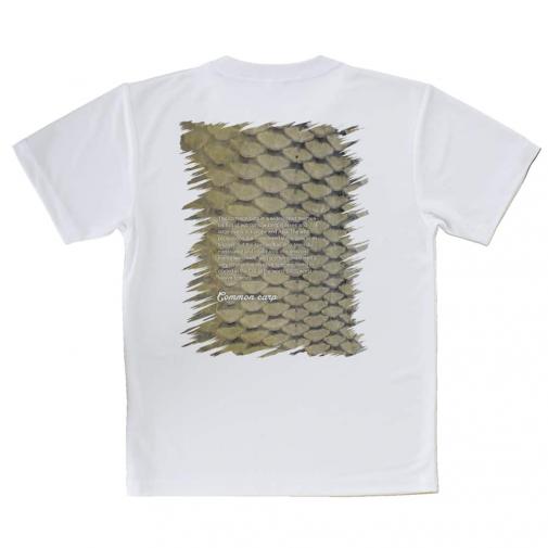 【Tシャツ】コイのウロコ