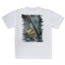 【Tシャツ】アユの追い星