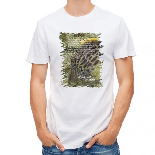 【Tシャツ】カワハギ