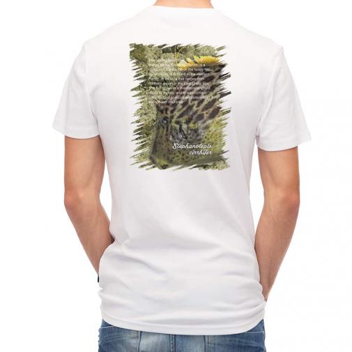 【Tシャツ】カワハギ