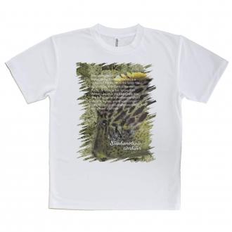 【Tシャツ】カワハギ