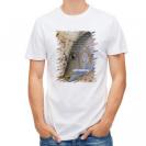 【Tシャツ】タマン(ハマフエフキ)