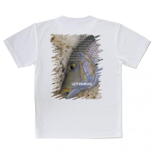 【Tシャツ】タマン(ハマフエフキ)