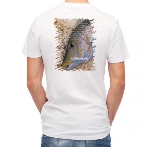 【Tシャツ】タマン(ハマフエフキ)