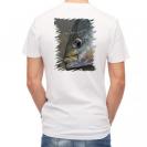 【Tシャツ】イサキ