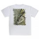 【Tシャツ】表層のギャング・サワラ