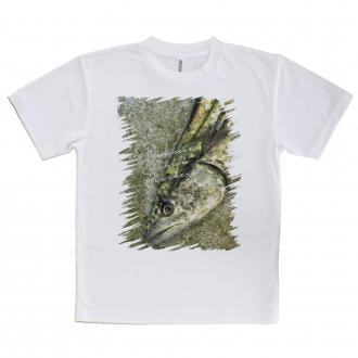 【Tシャツ】表層のギャング・サワラ