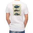 【Tシャツ】メジナの仲間