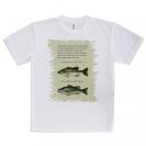 【Tシャツ】オオクチバス(ラージマウスバス)とコクチバス(スモールマウスバス)