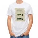 【Tシャツ】オオクチバス(ラージマウスバス)とコクチバス(スモールマウスバス)