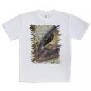 【Tシャツ】カンパチ　グレーターアンバージャック