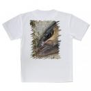 【Tシャツ】カンパチ　グレーターアンバージャック