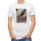 【Tシャツ】カンパチ　グレーターアンバージャック