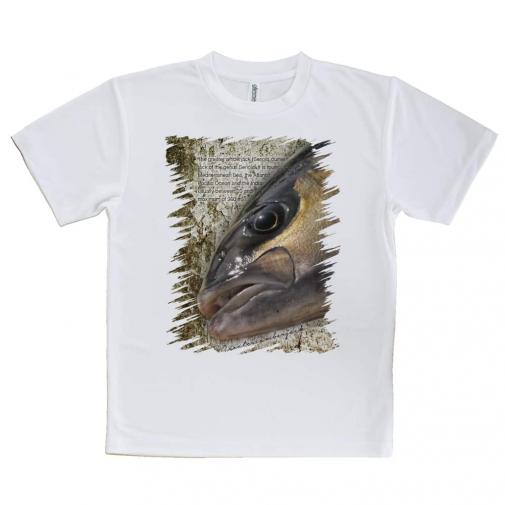 【Tシャツ】カンパチ　グレーターアンバージャック