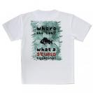 【Tシャツ】魚はどこへ行った?