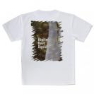 【Tシャツ】アオリイカ柄