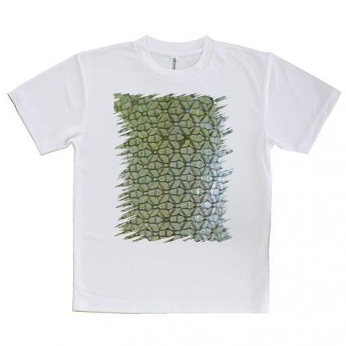 【Tシャツ】エギ柄　マスカットグリーン