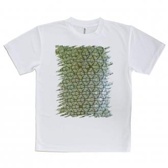 【Tシャツ】エギ柄　マスカットグリーン